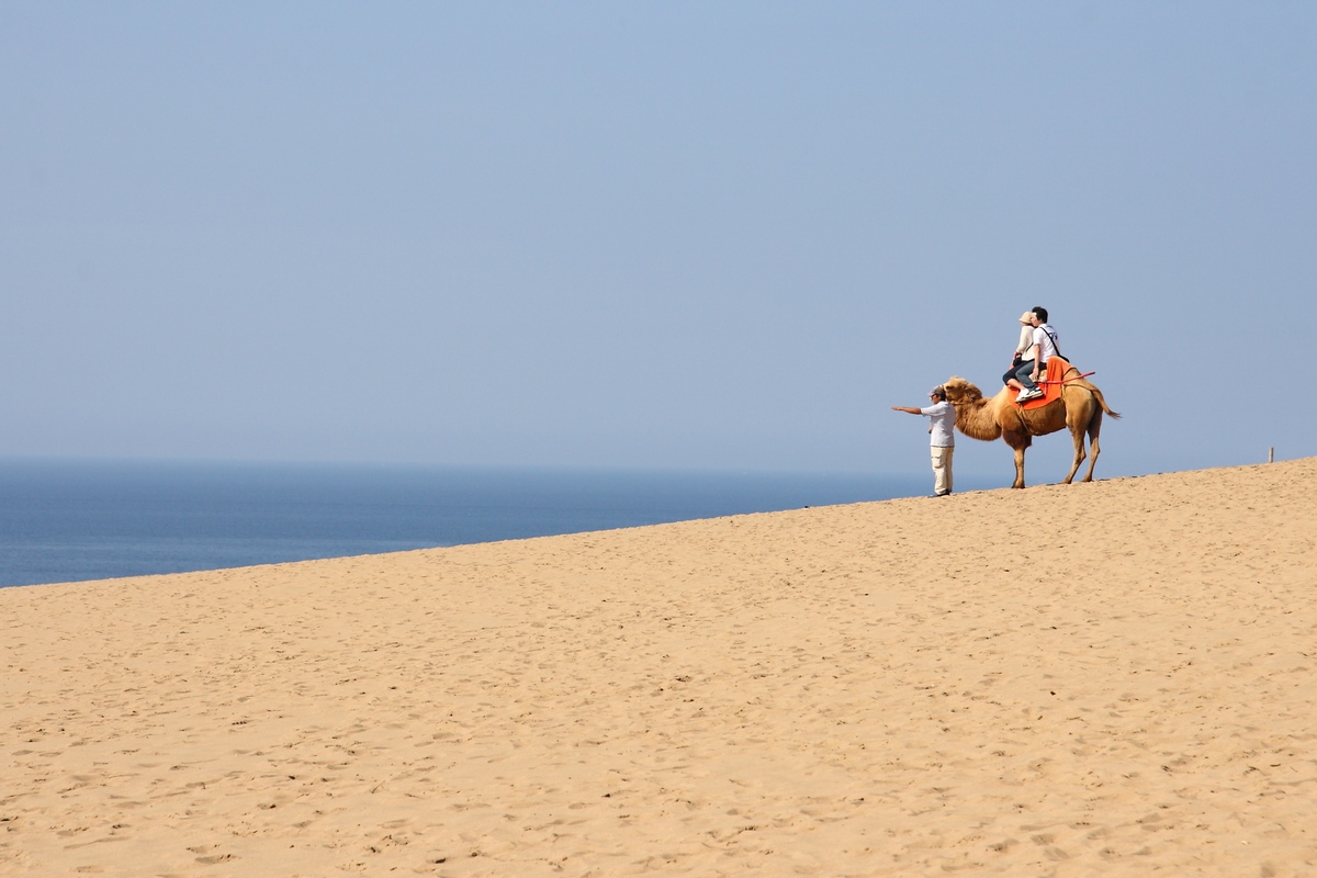 Đồi cát Tottori – Biển cát lớn nhất Nhật Bản với cảnh đẹp, cưỡi lạc đà và nhiều hoạt động thú vị