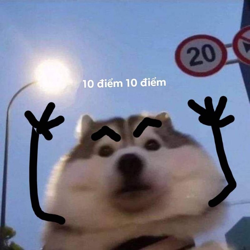 Meme 10đ cậu bé