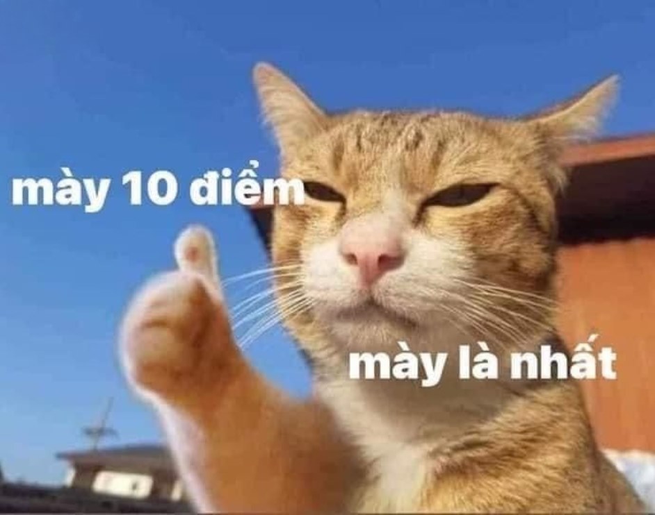 10 điểm meme bà già