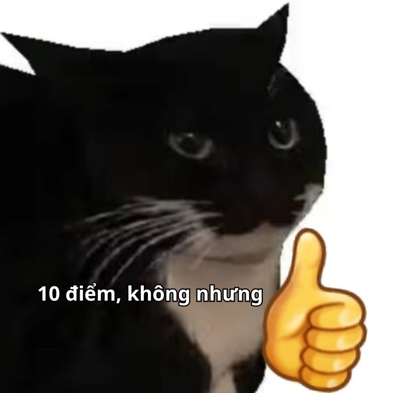 10đ meme hài
