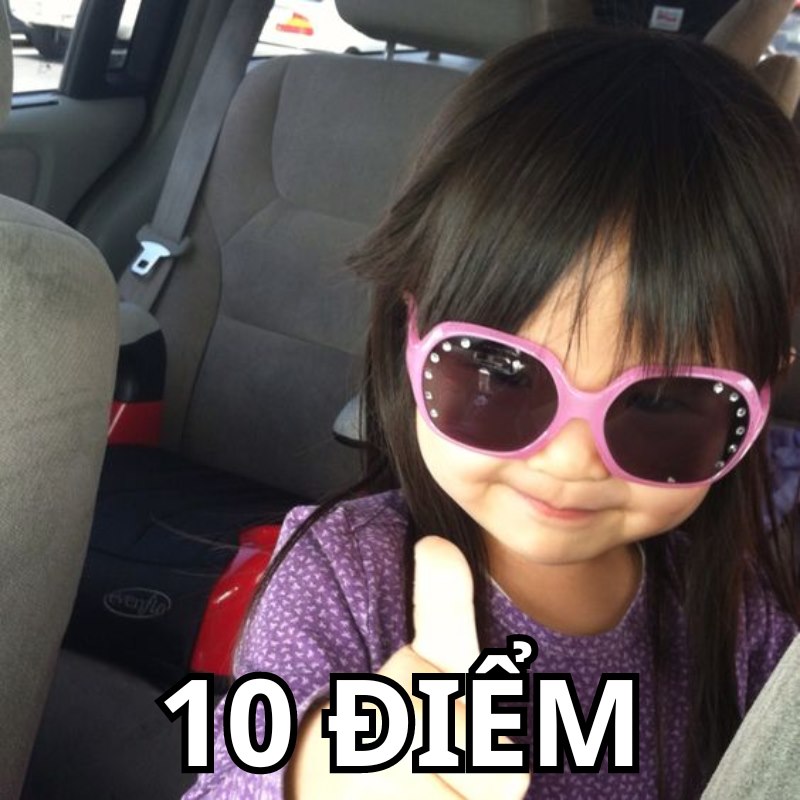 ảnh 10 điểm meme