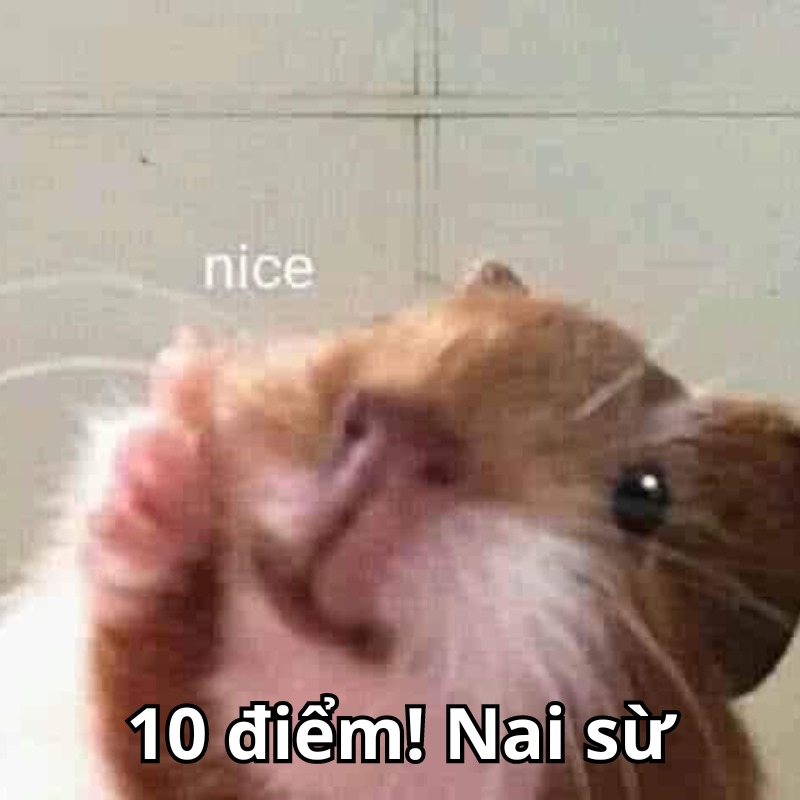 ảnh 10đ không có nhưng