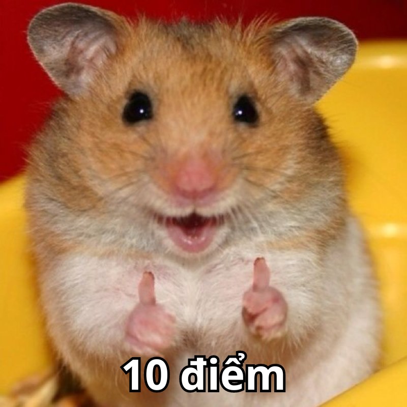 ảnh meme 10 điểm thả tim