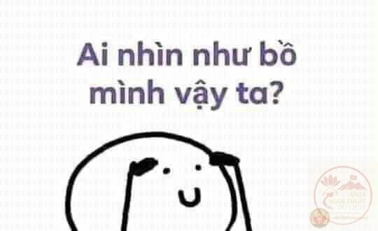 meme gãi đầu hài
