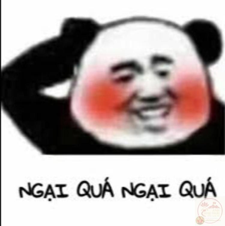 Meme gãi đầu cười