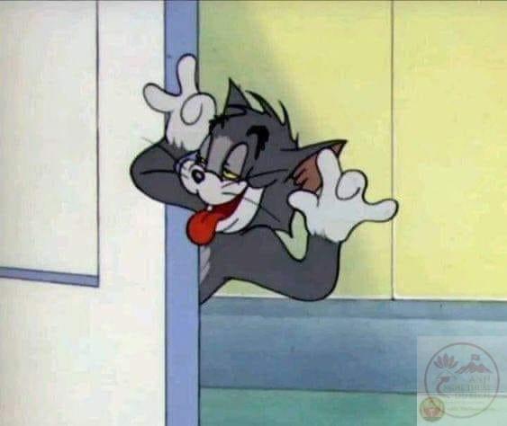 266+ Bộ Sưu Tập Meme Mèo Bựa Cực Dễ Thương Và Siêu Lầy Lội