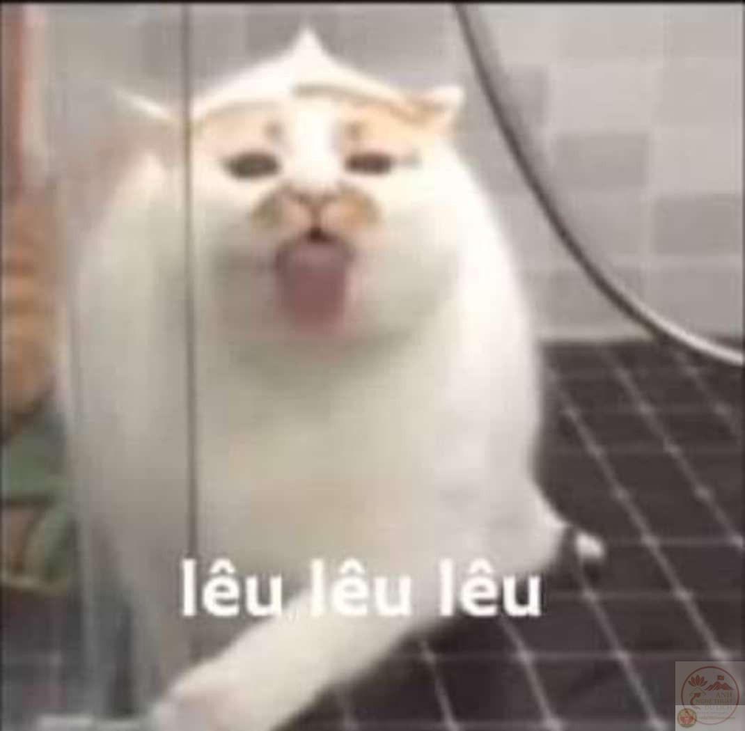 Story » Sưu tầm Ảnh Meme Lêu Lêu lan truyền mạnh với biểu cảm trêu cực chất