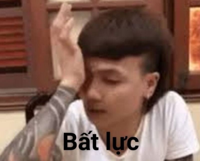 Các hình ảnh meme bất lực khác