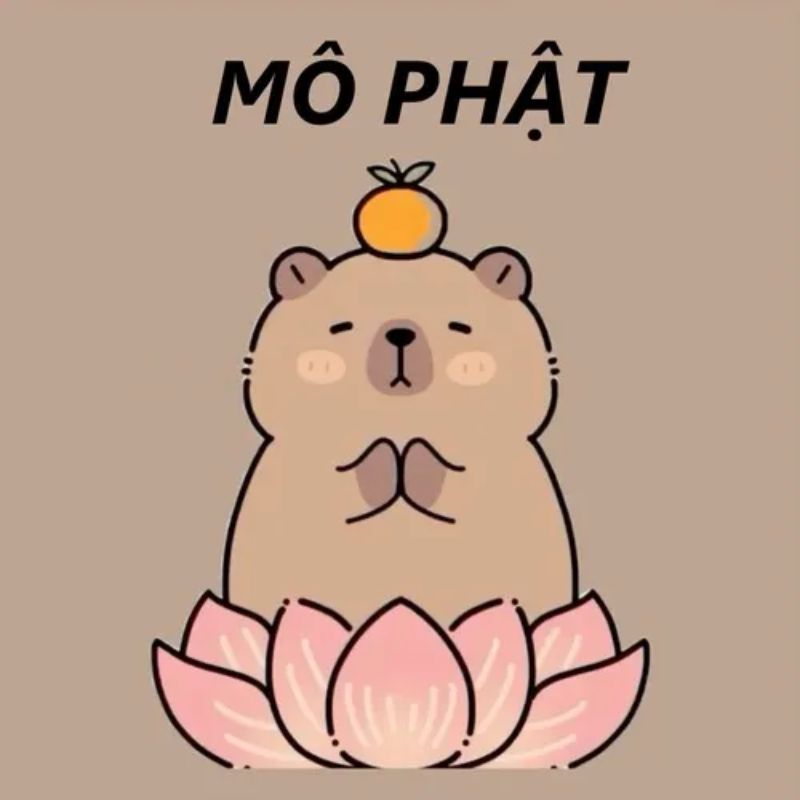 Ảnh Mô Phật Capybara