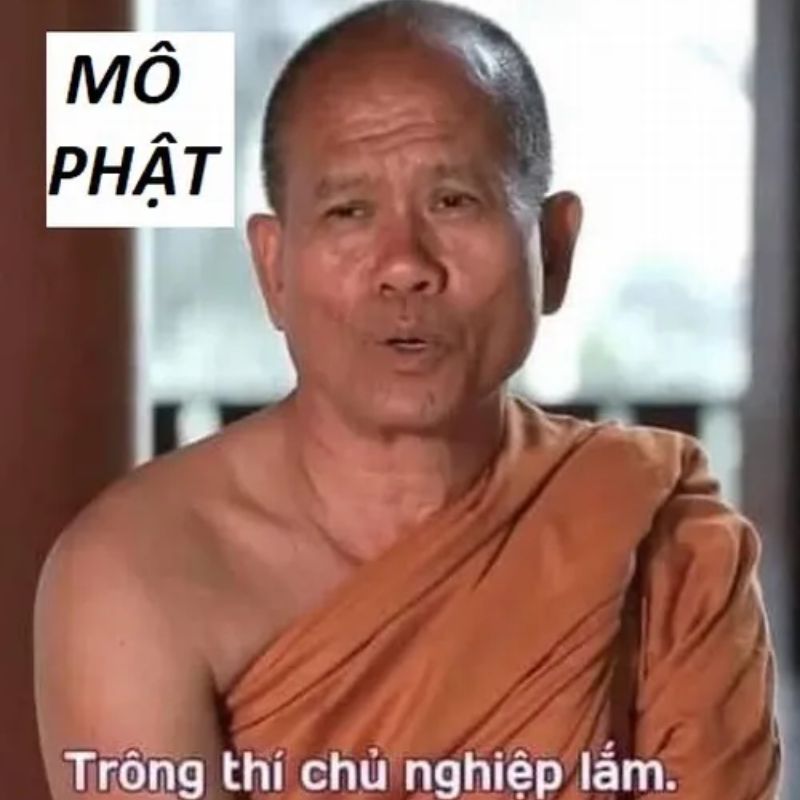 Ảnh mô Phật trông thí chủ nghiệp quá