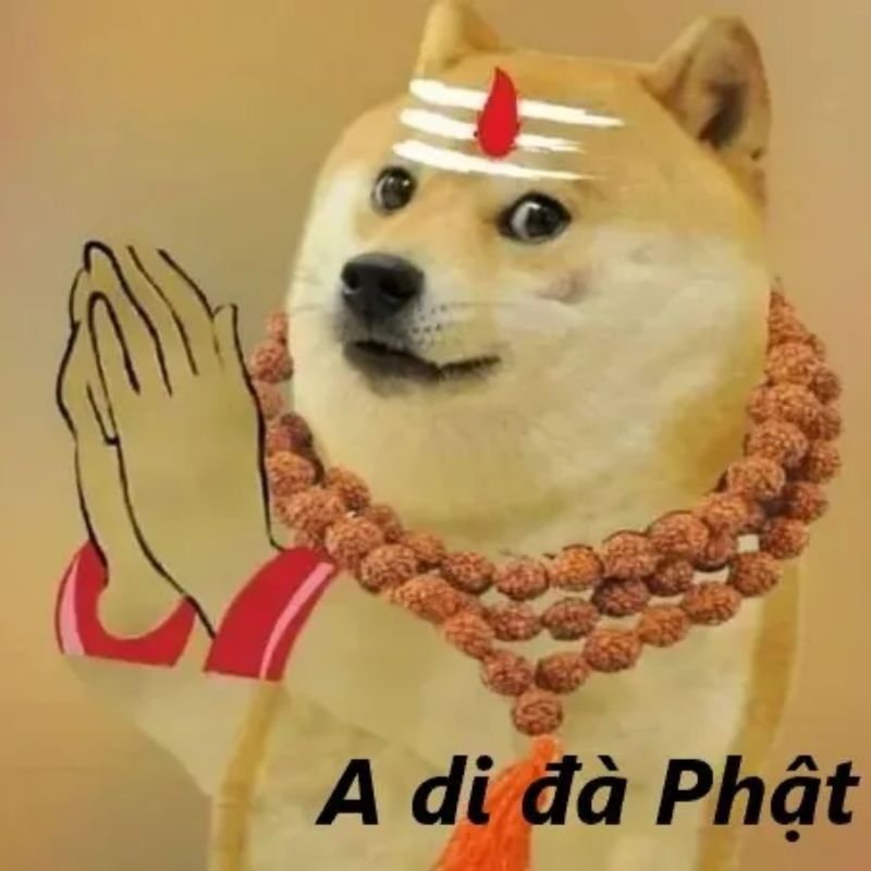 A di đà phật meme chó