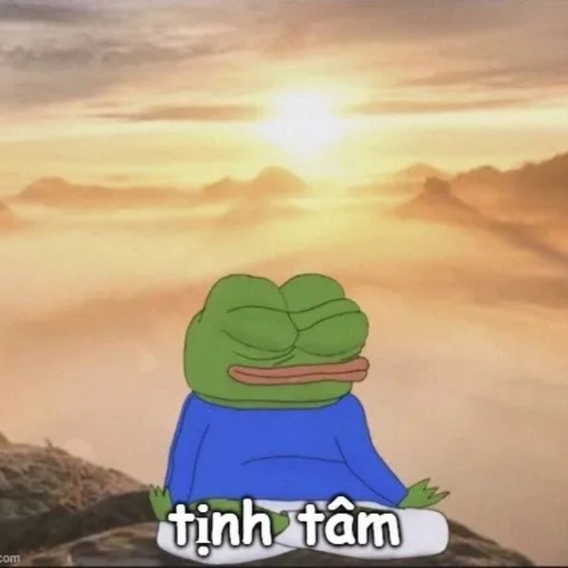 Meme tịnh tâm ngồi thiền