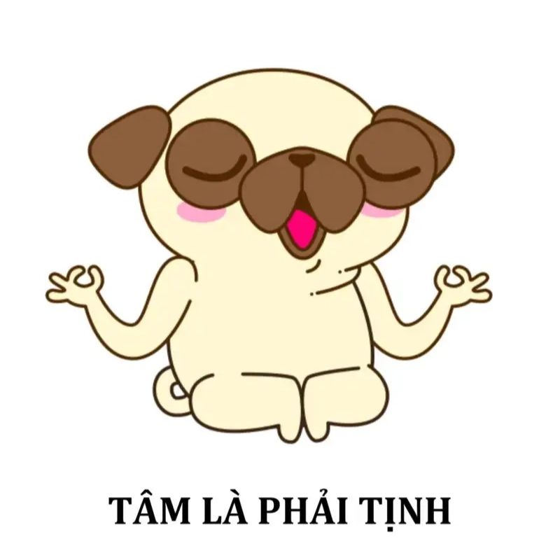 Meme tâm là phải tịnh