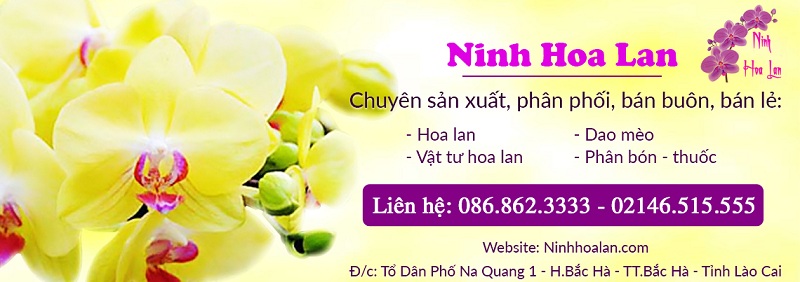 thiết kế banner website đẹp giá rẻ