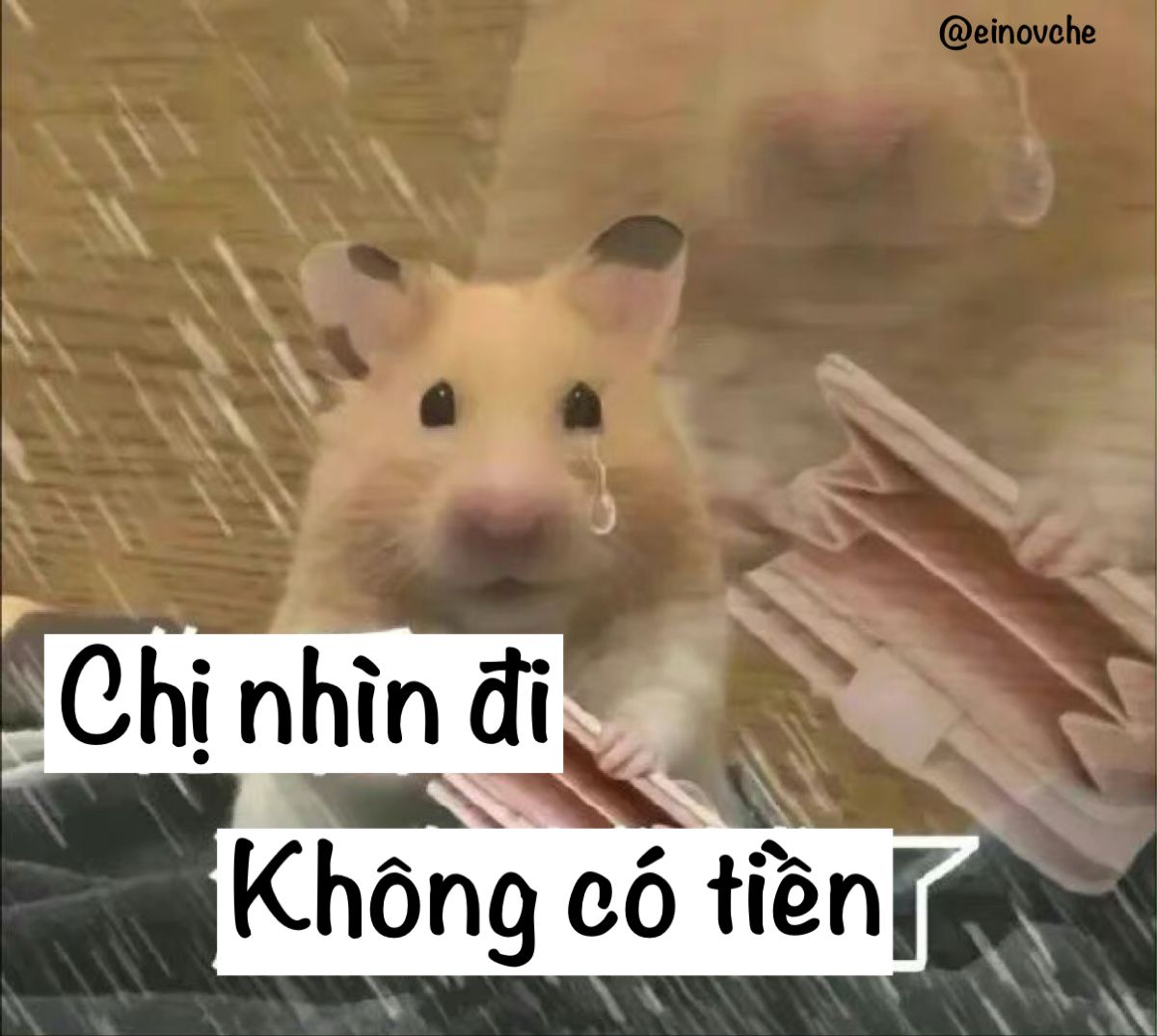 Hình chế tiền nè viral