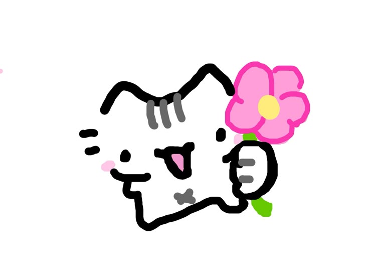 Reaction mèo tặng hoa cute