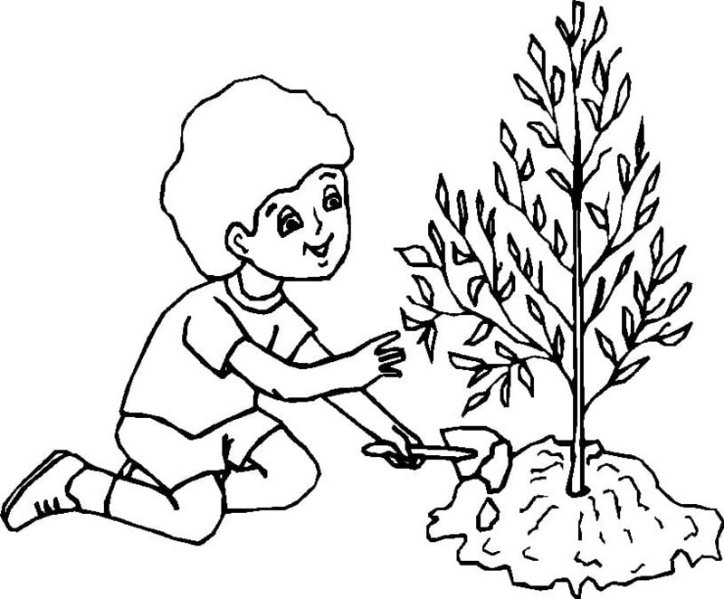 tranh tô màu bảo vệ môi trường 18