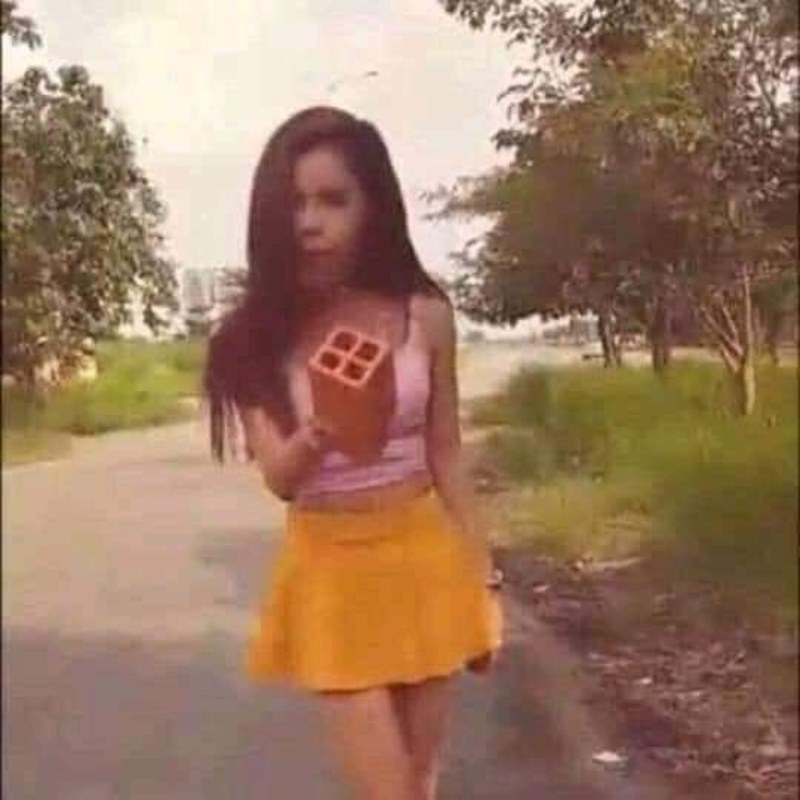 Meme Linda cầm gạch ống