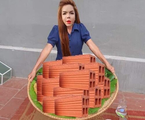 Linda cầm gạch ống meme