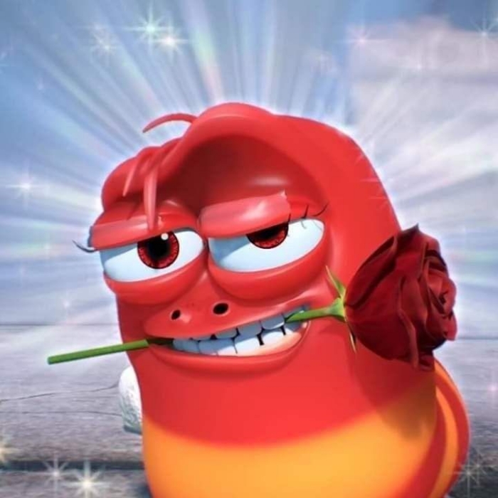 meme tặng hoa