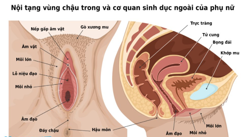 Tin tức