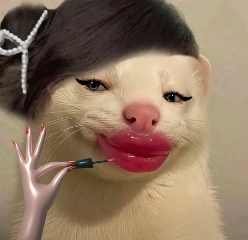 Avatar meme hài bựa siêu vui