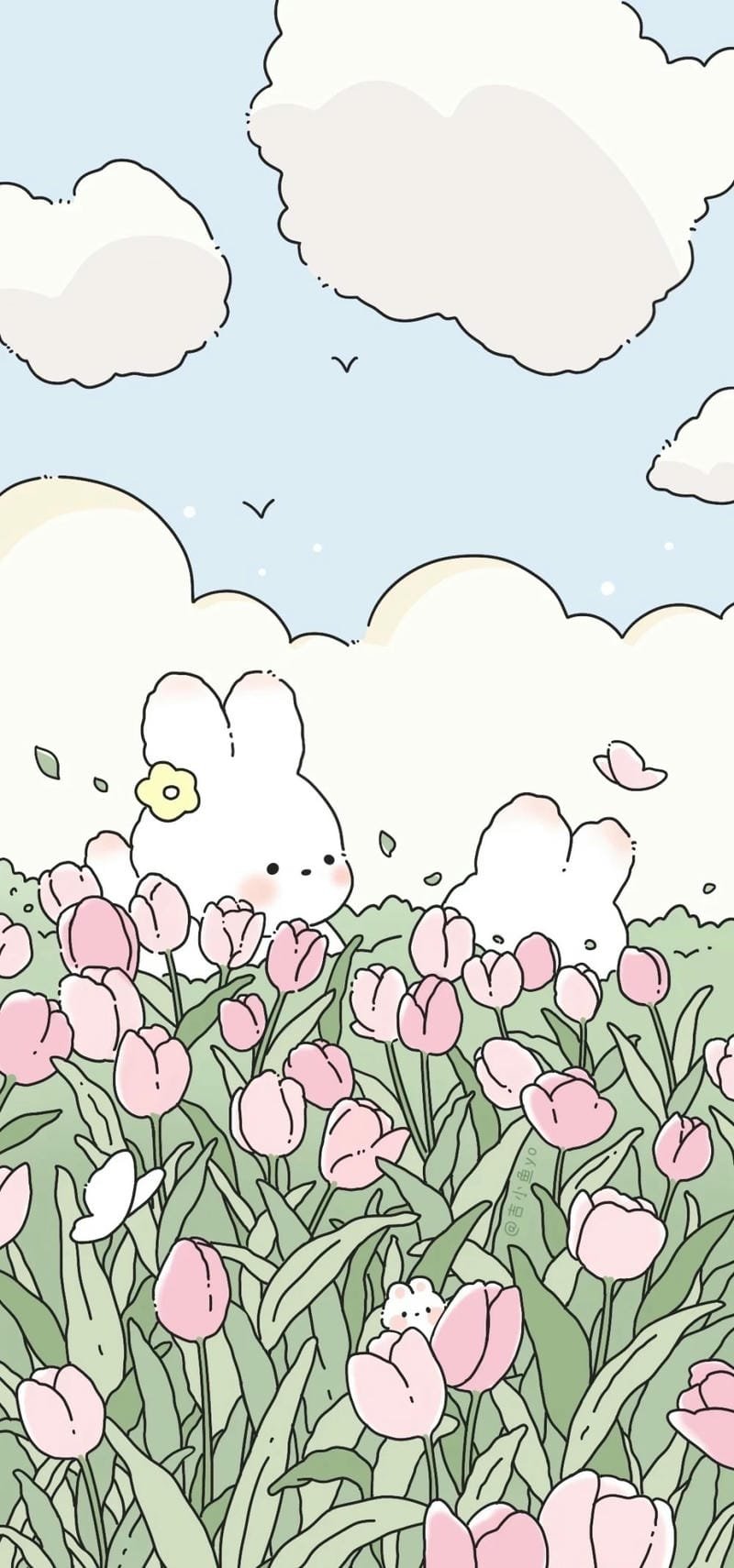 Hình nền con thỏ cute chất lượng cao sắc nét