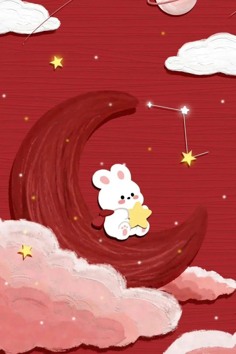 Hình nền thỏ cute cho màn hình điện thoại