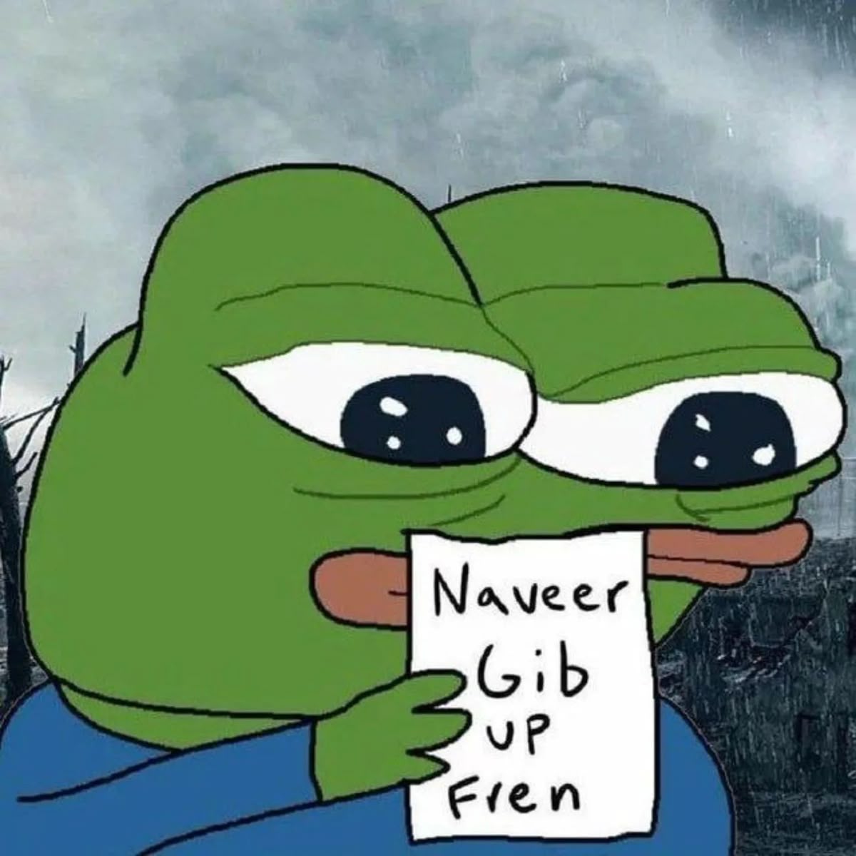 Pepe the frog meme