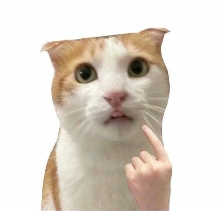 Sticker chat vui dạng nhãn dán bựa