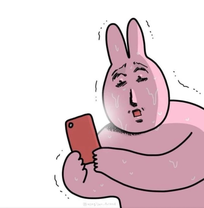 meme thỏ hồng