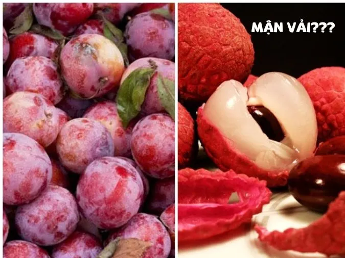 “Mận vải”, “Mãi mận” là gì? Nguồn gốc của cụm từ "Mận vải", "Mãi mận" trong các bình luận facebook