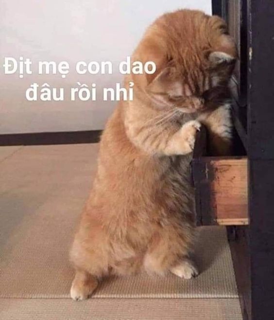 Không ai ngoan mãi được, có dao rồi khỏi kiềm