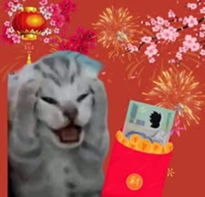 meme meo om dau 5