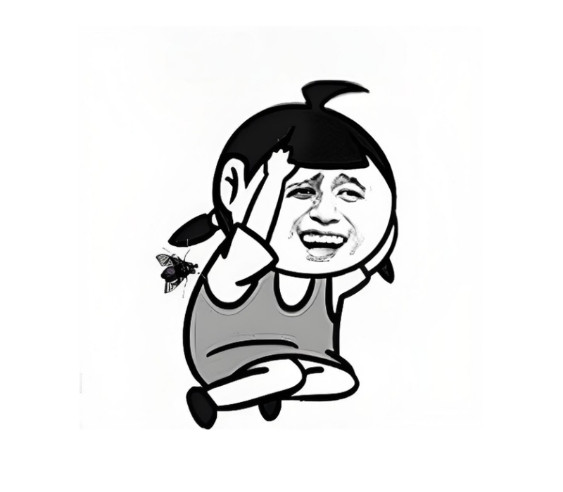 Meme mèo Trung Quốc