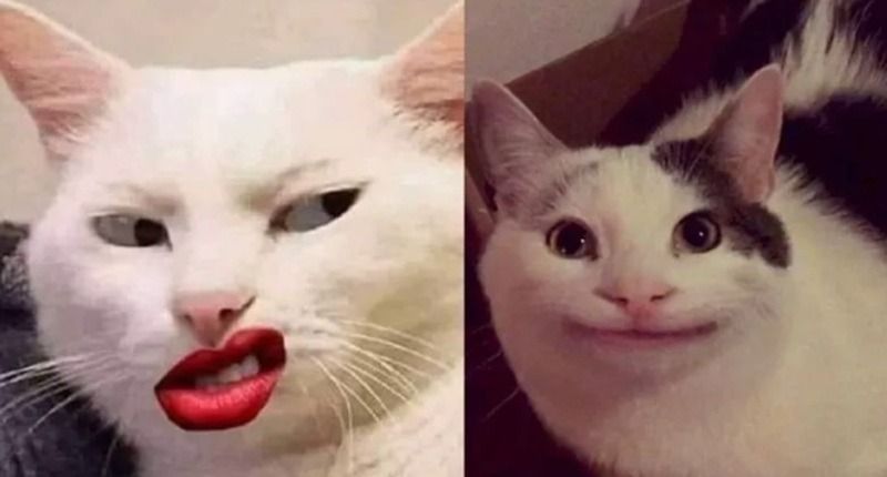 Những tình huống "chuẩn nhất" để sử dụng meme 2 mặt khóc cười