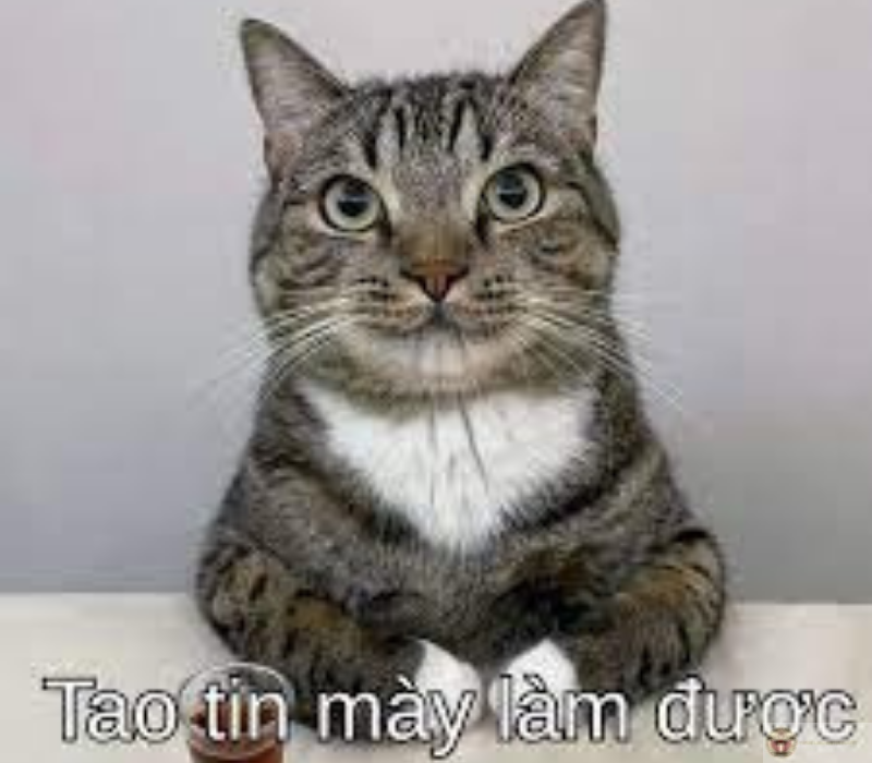 Một chút hài hước sẽ giúp bạn vượt qua ngày làm việc mệt mỏi này.
