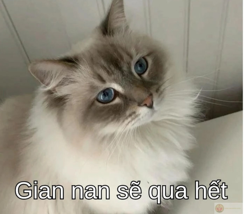 Cố lên, gian nan sẽ qua hết