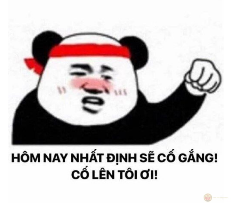 Hôm nay nhất định gắng tôi ơi