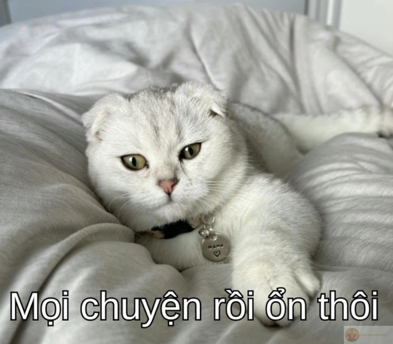 Mọi chuyện rồi ổn thôi