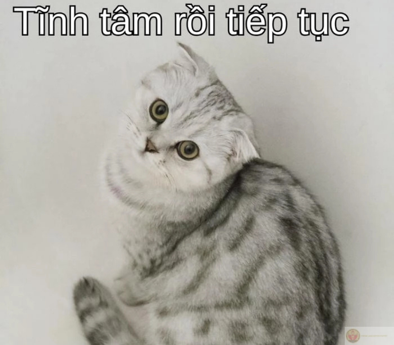 Cố lên, tĩnh tâm rồi tiếp tục