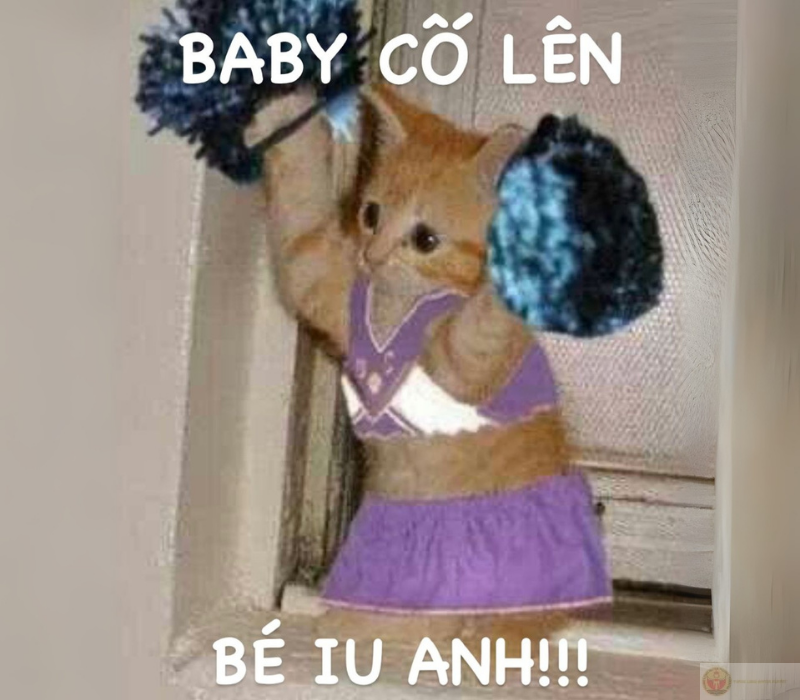 Meme đáng yêu cố lên anh ơi, sắp tới rồi, anh hãy tin vào khả năng của mình.