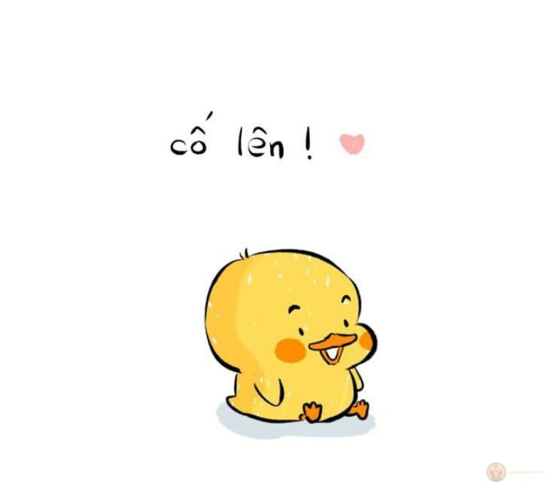 Cố lên các bạn của tôi