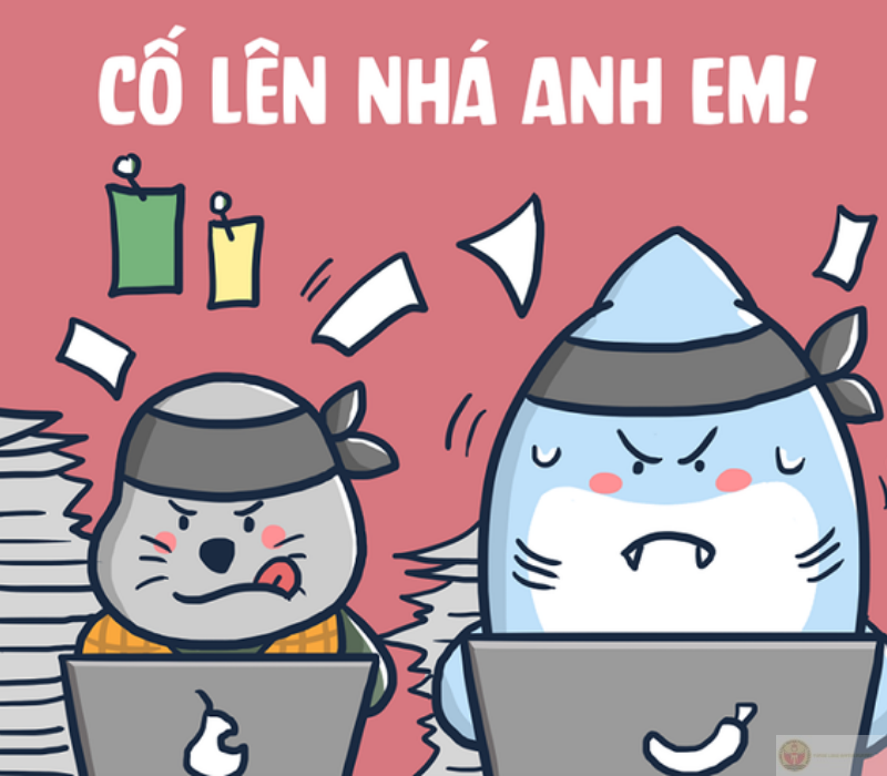 Cố lên anh em ơi!