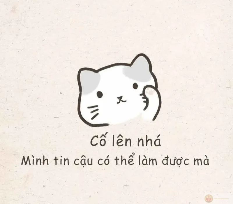 Meme đáng yêu cố lên siêu cute giúp bạn phấn chấn và lấy lại năng lượng tích cực.