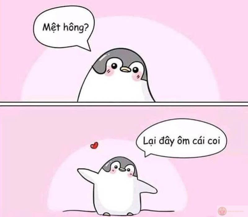 Meme đáng yêu cố lên sắp tới rồi, hãy tự tin và tiếp tục tiến lên mỗi ngày.