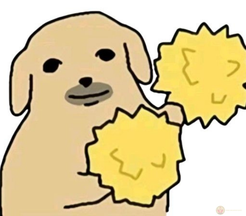 Meme đáng yêu cố lên động viên bạn đừng quên cố gắng và tin vào khả năng của mình.