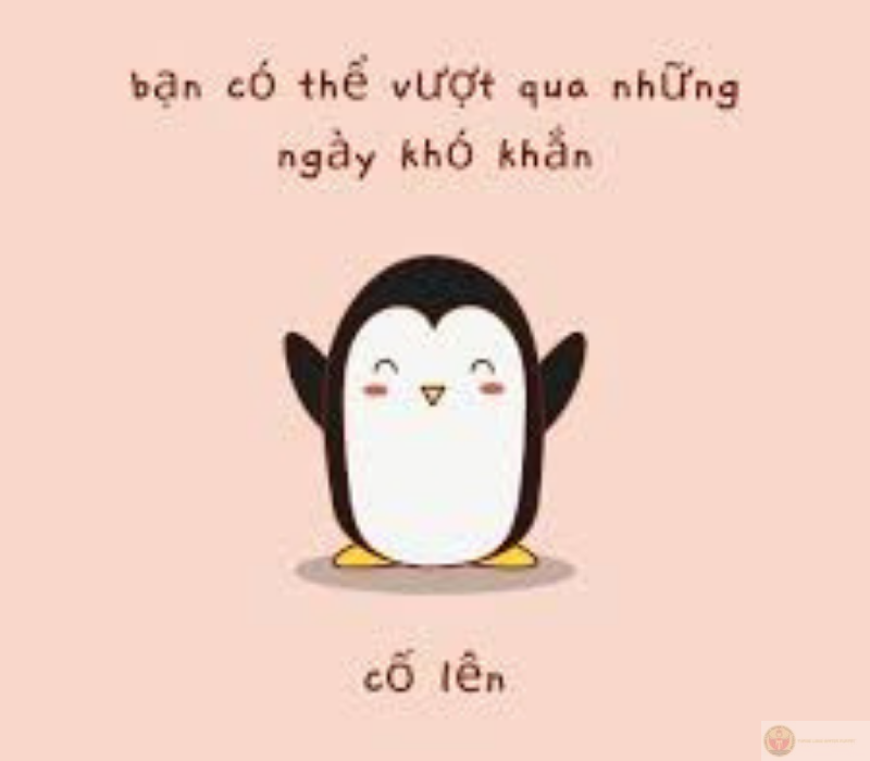 Cố lên meme dễ thương cực vui nhộn cổ vũ tinh thần bạn trong mọi tình huống.