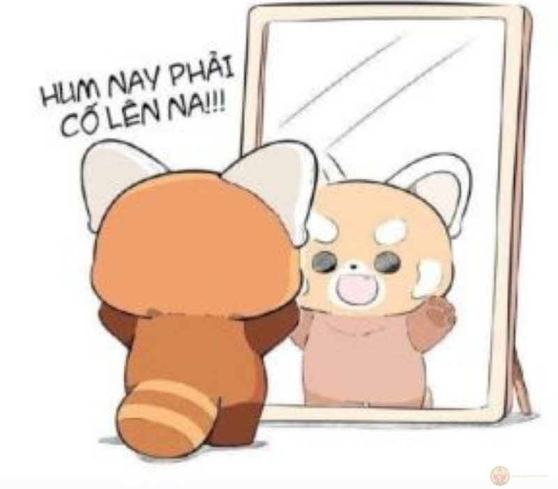 Ngày mai sẽ ổn thôi, cố lên