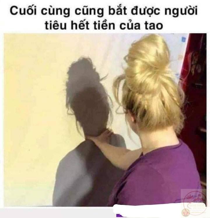 Meme bóp cổ: 120+ ảnh bóp cổ mèo, chó, vịt lè lưỡi bá đạo